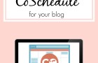 CoSchedule is the best organizing tool that I have found for my blog by far! Every blogger needs to get this. Read 7 reasons why you should get CoSchedule now on lifeasadare.com
