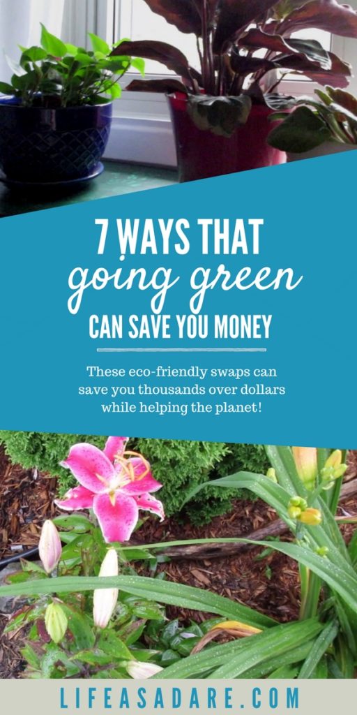 Going green doesn't need to be expensive--in fact, it can save you money! Here's how to live eco-friendly and save money!